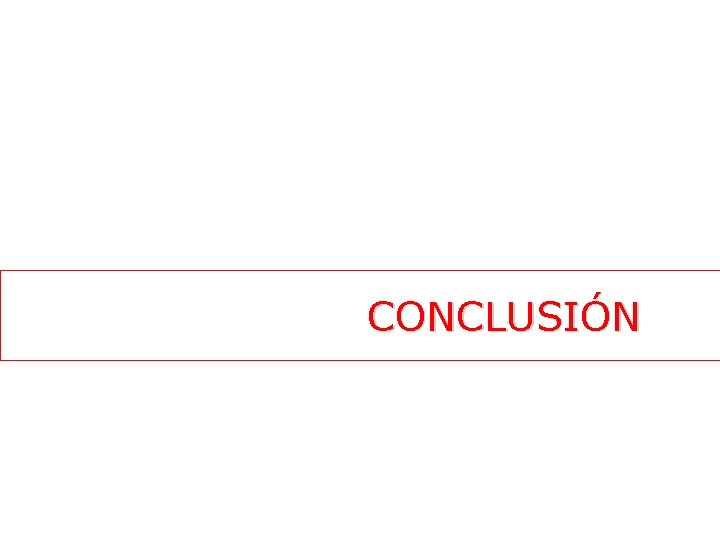 CONCLUSIÓN CONCLUSIÓN