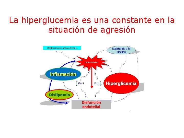 La hiperglucemia es una constante en la situación de agresión La hiperglucemia es una constante en la situación de agresión