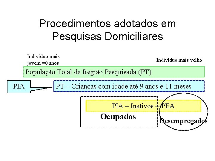 Procedimentos adotados em Pesquisas Domiciliares Indivíduo mais jovem =0 anos Indivíduo mais velho População Procedimentos adotados em Pesquisas Domiciliares Indivíduo mais jovem =0 anos Indivíduo mais velho População