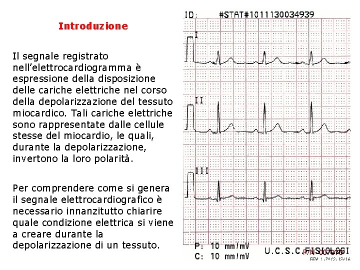 Introduzione Il segnale registrato nell’elettrocardiogramma è espressione della disposizione delle cariche elettriche nel corso