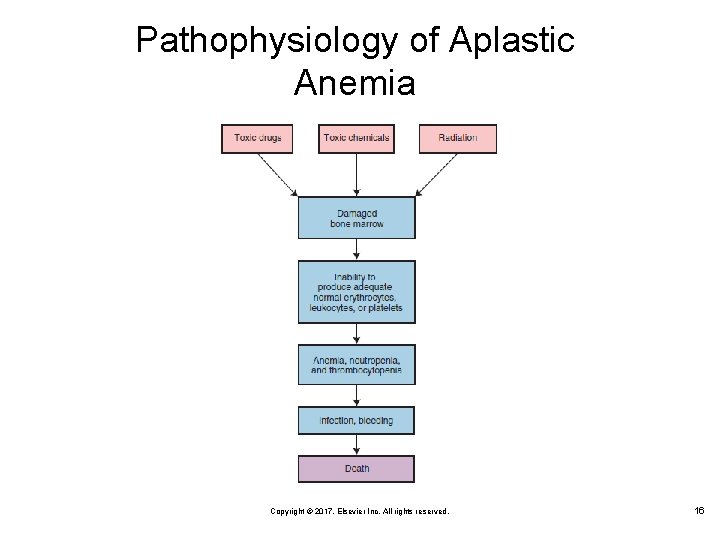 Pathophysiology of Aplastic Anemia Copyright © 2017, Elsevier Inc. All rights reserved. 16 