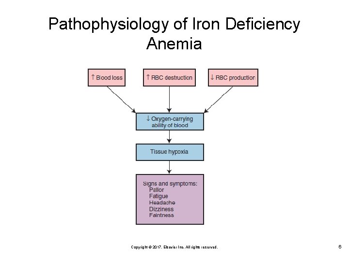 Pathophysiology of Iron Deficiency Anemia Copyright © 2017, Elsevier Inc. All rights reserved. 6
