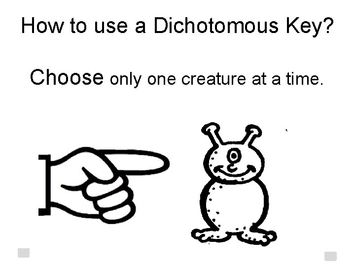 How to use a Dichotomous Key? Choose only one creature at a time. 