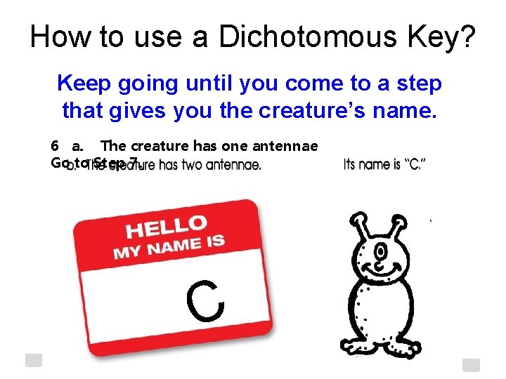 How to use a Dichotomous Key? Keep going until you come to a step