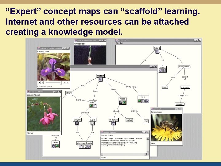 “Expert” concept maps can “scaffold” learning. Internet and other resources can be attached creating