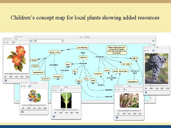 Children’s concept map for local plants showing added resources 