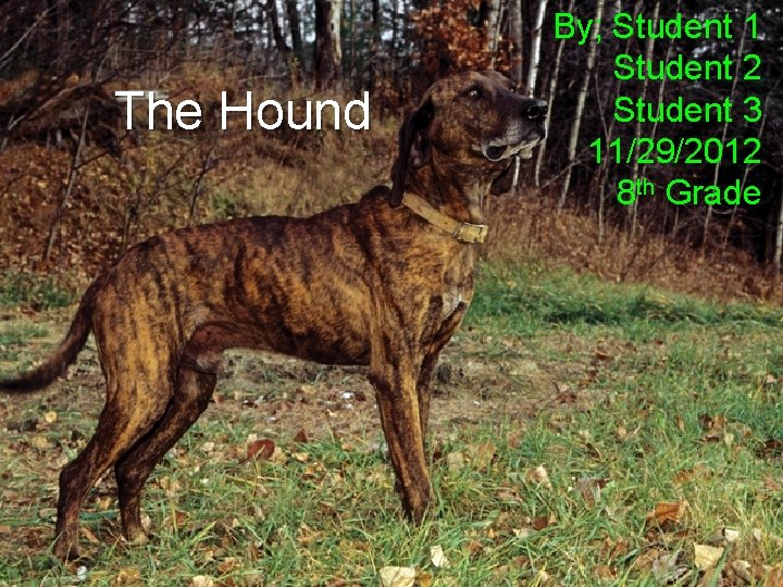 The Hound By; Student 1 Student 2 Student 3 11/29/2012 8 th Grade 