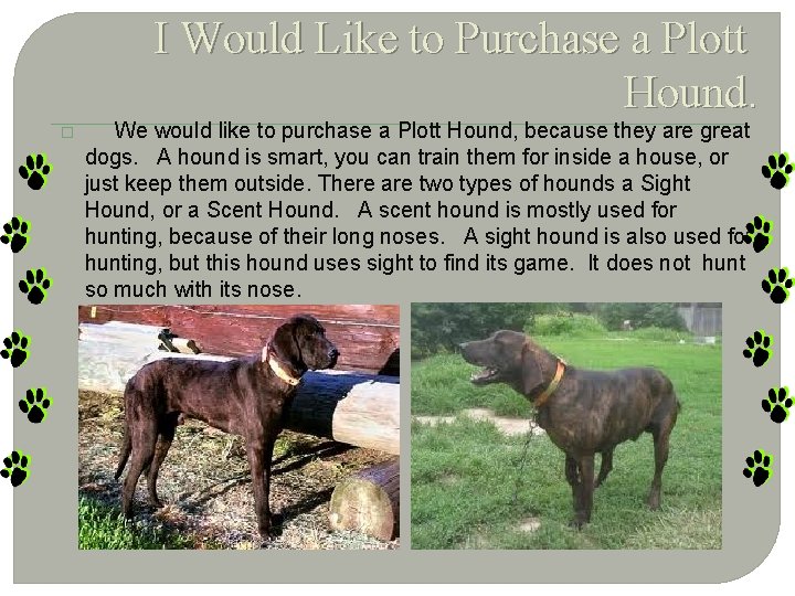 I Would Like to Purchase a Plott Hound. � We would like to purchase