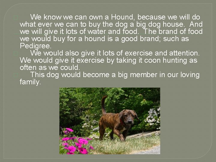 We know we can own a Hound, because we will do what ever we