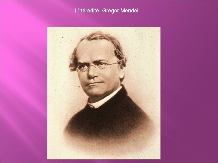 L’hérédité, Gregor Mendel 