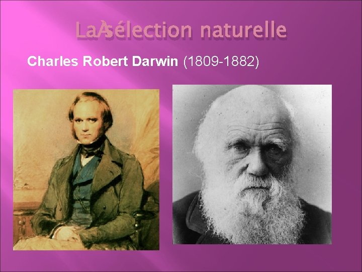 La sélection naturelle Charles Robert Darwin (1809 -1882) 
