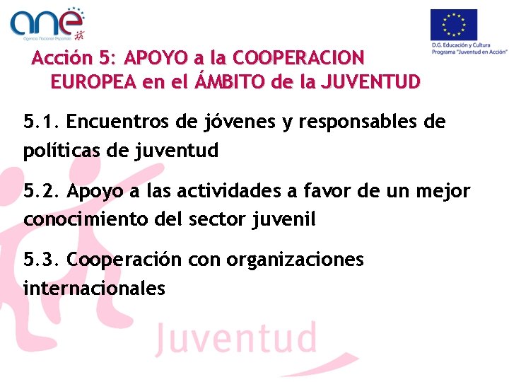 Acción 5: APOYO a la COOPERACION EUROPEA en el ÁMBITO de la JUVENTUD 5.