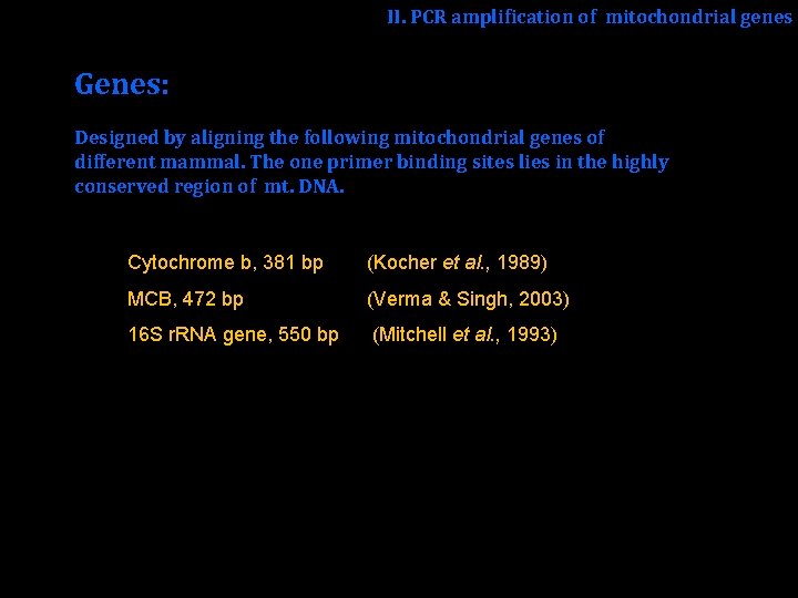 II. PCR amplification of mitochondrial genes Genes: Designed by aligning the following mitochondrial genes