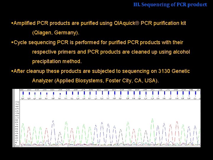 III. Sequencing of PCR product §Amplified PCR products are purified using QIAquick® PCR purification
