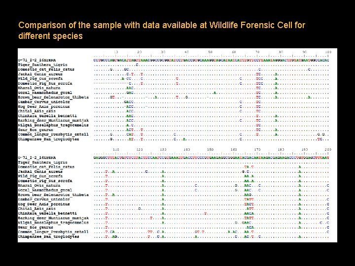 Comparison of the sample with data available at Wildlife Forensic Cell for different species