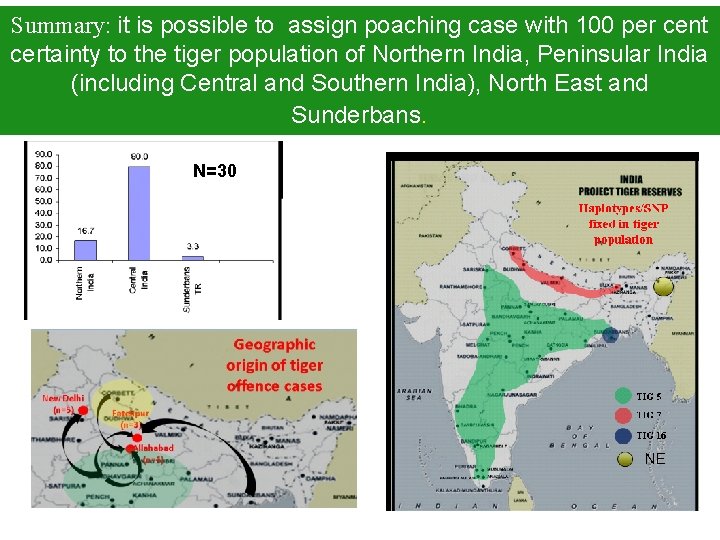 Summary: it is possible to assign poaching case with 100 per cent certainty to