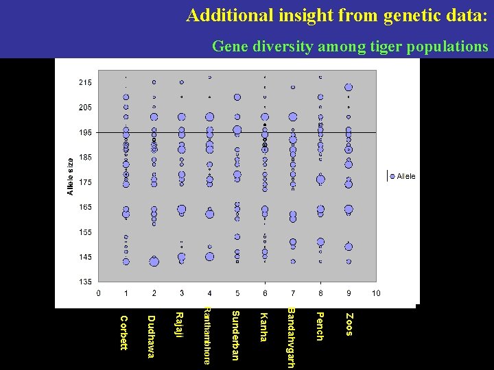 Additional insight from genetic data: Gene diversity among tiger populations Zoos Pench Bandahvgarh Kanha