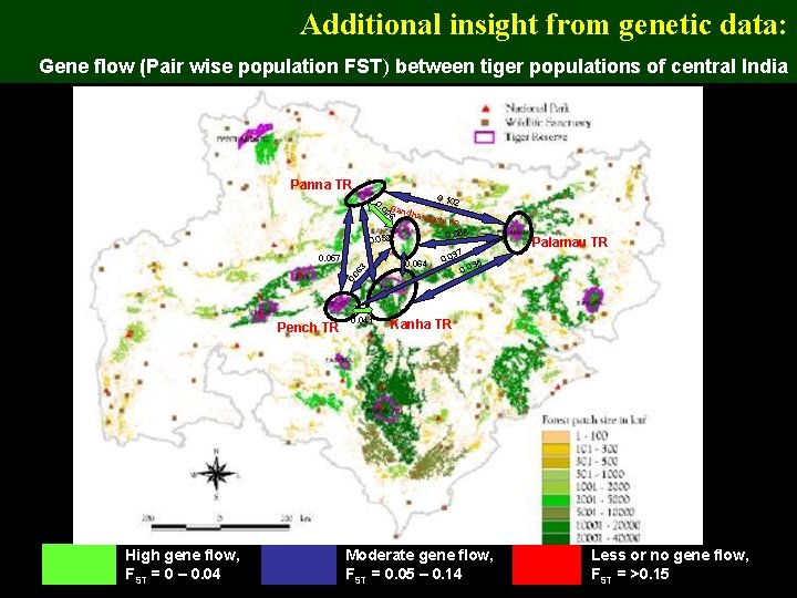 Additional insight from genetic data: Gene flow (Pair wise population FST) between tiger populations