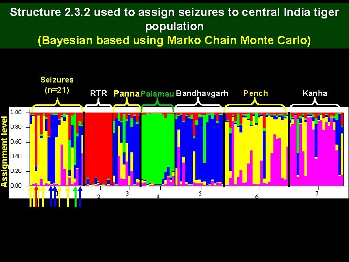 Assignment level Structure 2. 3. 2 used to assign seizures to central India tiger