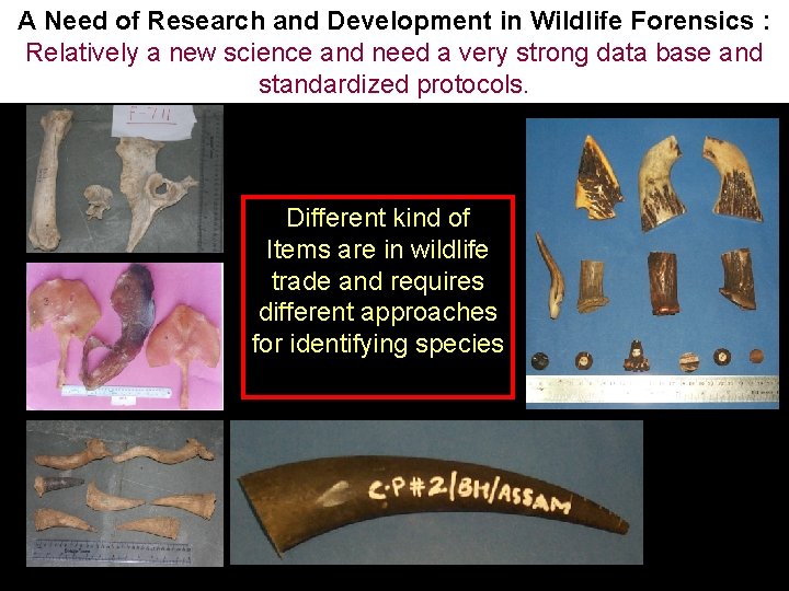 A Need of Research and Development in Wildlife Forensics : Relatively a new science