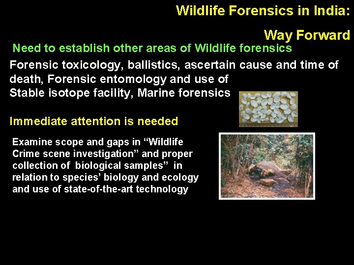 Wildlife Forensics in India: Way Forward Need to establish other areas of Wildlife forensics