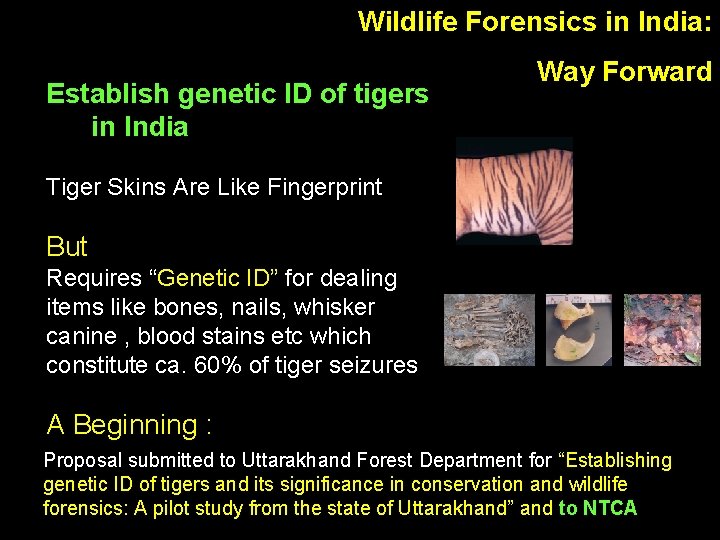 Wildlife Forensics in India: Establish genetic ID of tigers in India Way Forward Tiger