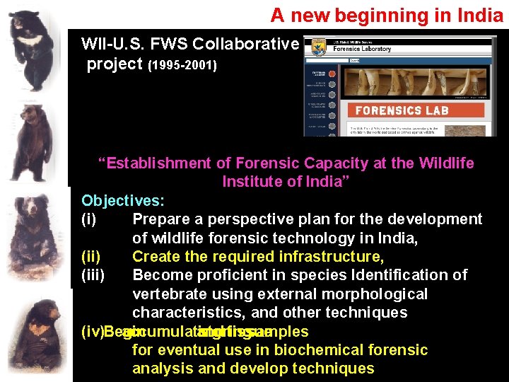 A new beginning in India WII-U. S. FWS Collaborative project (1995 -2001) “Establishment of