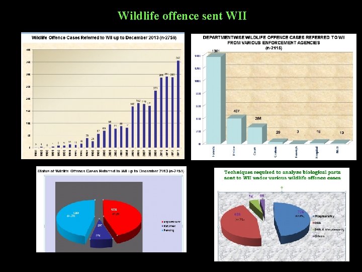 Wildlife offence sent WII 