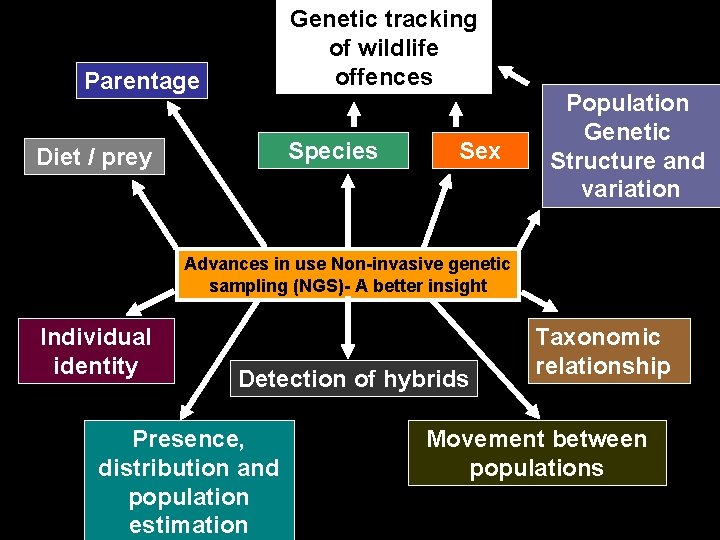 Genetic tracking of wildlife offences Parentage Species Diet / prey Sex Population Genetic Structure