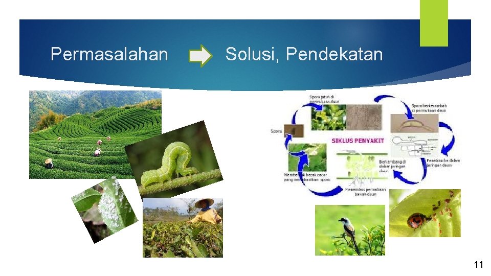 Permasalahan Solusi, Pendekatan 11 