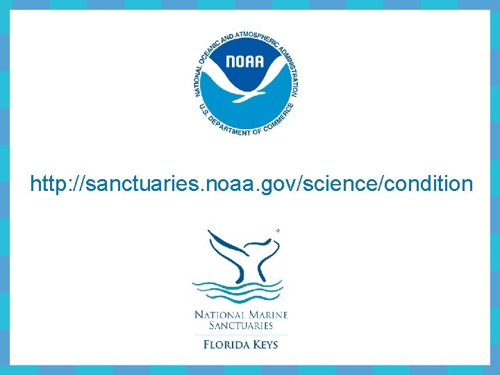 http: //sanctuaries. noaa. gov/science/condition 