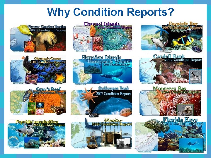 Why Condition Reports? 