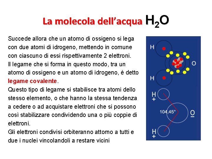 La molecola dell’acqua H 2 O Succede allora che un atomo di ossigeno si
