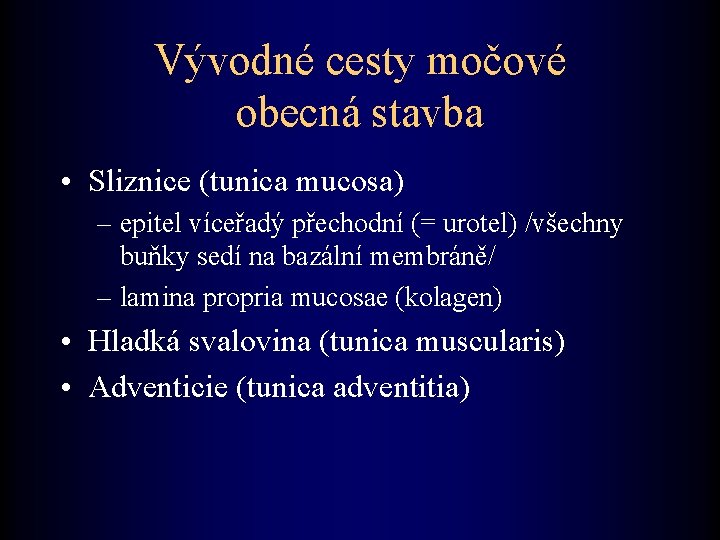 Vývodné cesty močové obecná stavba • Sliznice (tunica mucosa) – epitel víceřadý přechodní (=