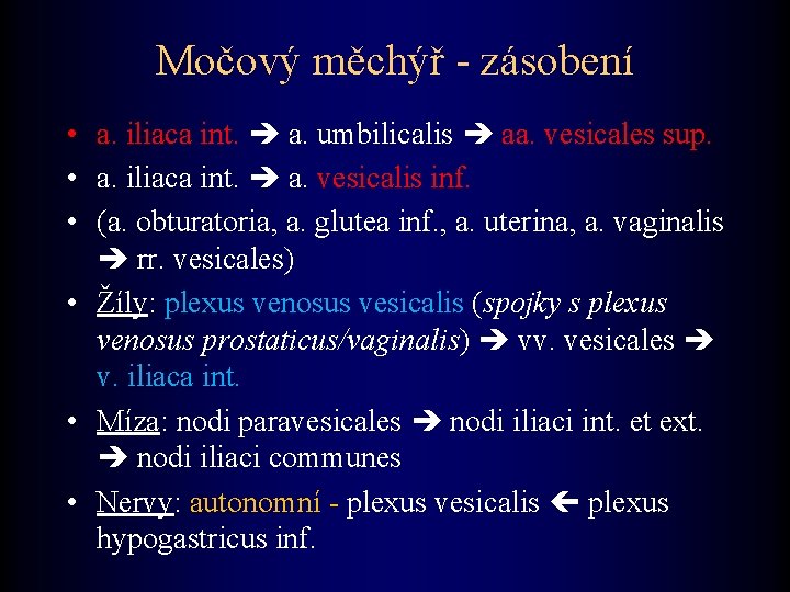 Močový měchýř - zásobení • a. iliaca int. a. umbilicalis aa. vesicales sup. •