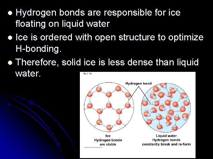 Hydrogen bonds are responsible for ice floating on liquid water l Ice is ordered