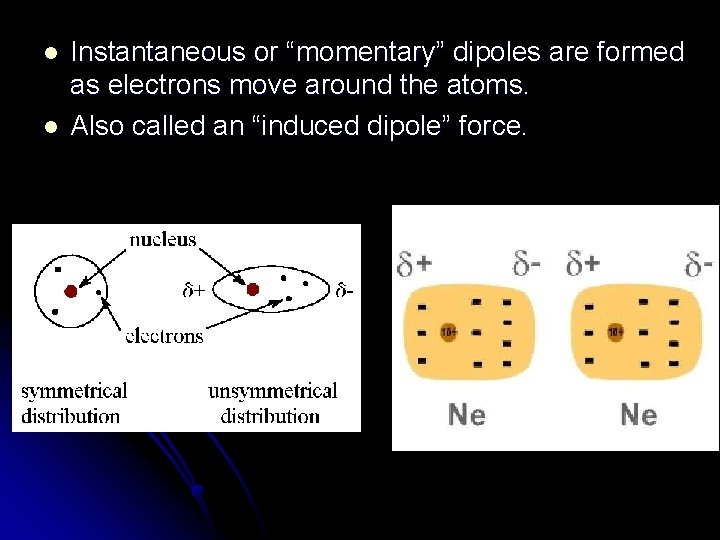 l l Instantaneous or “momentary” dipoles are formed as electrons move around the atoms.