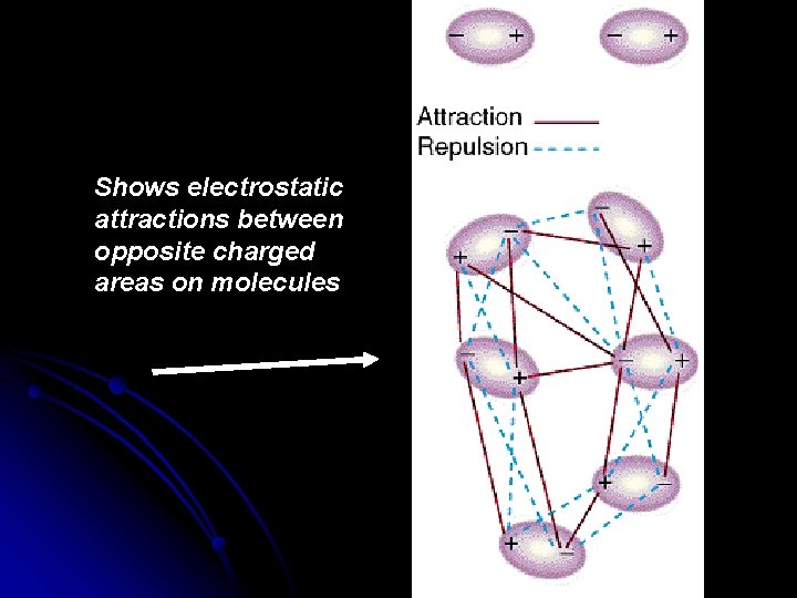 Shows electrostatic attractions between opposite charged areas on molecules 