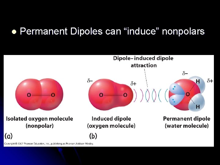 l Permanent Dipoles can “induce” nonpolars 