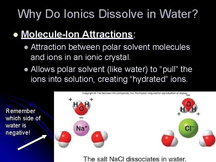 Why Do Ionics Dissolve in Water? l Molecule-Ion Attractions: l Attraction between polar solvent