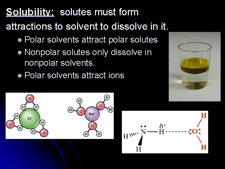 Solubility: solutes must form attractions to solvent to dissolve in it. l Polar solvents