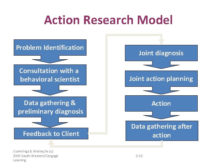 Action Research Model Problem Identification Consultation with a behavioral scientist Joint diagnosis Joint action