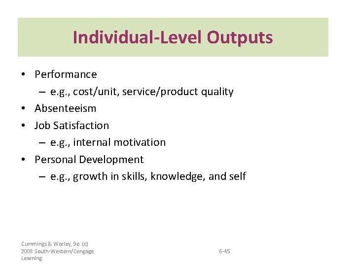 Individual-Level Outputs • Performance – e. g. , cost/unit, service/product quality • Absenteeism •