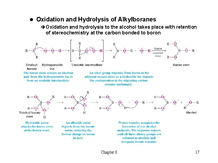 l Oxidation and Hydrolysis of Alkylboranes èOxidation and hydrolysis to the alcohol takes place