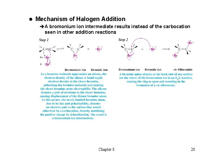 l Mechanism of Halogen Addition èA bromonium ion intermediate results instead of the carbocation