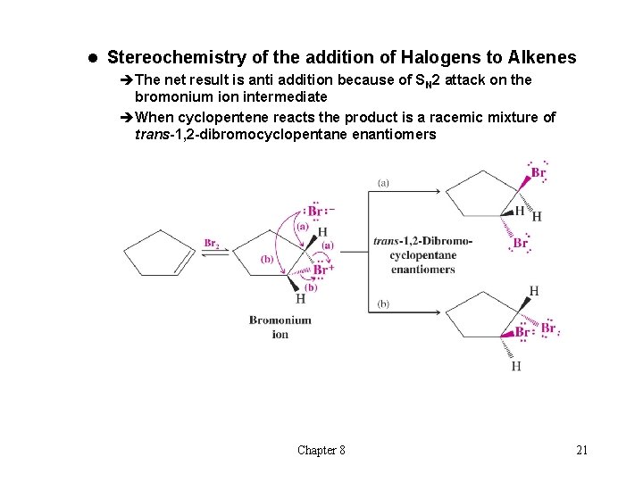 l Stereochemistry of the addition of Halogens to Alkenes èThe net result is anti