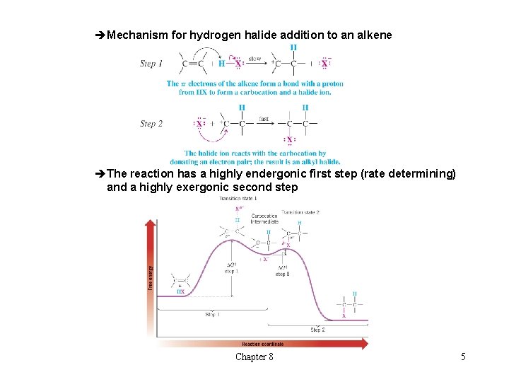 èMechanism for hydrogen halide addition to an alkene èThe reaction has a highly endergonic