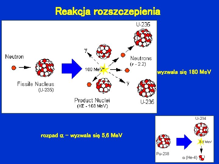 Reakcja rozszczepienia wyzwala się 180 Me. V rozpad - wyzwala się 5, 6 Me.