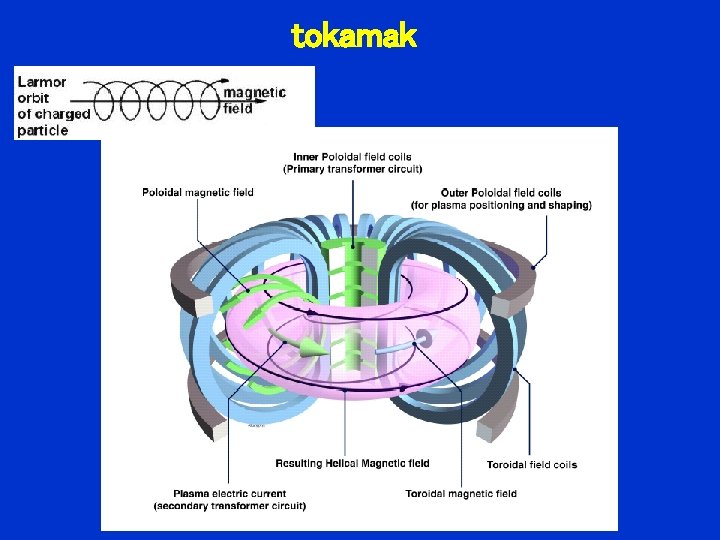 tokamak 