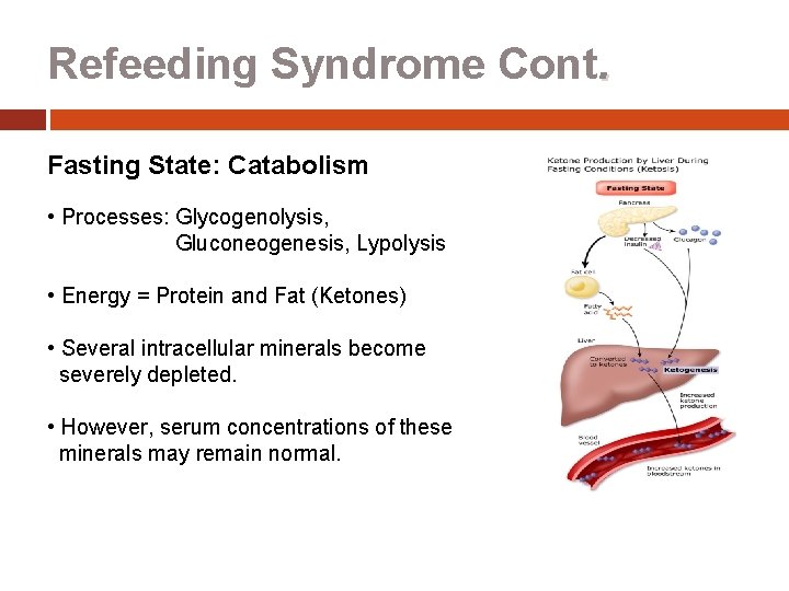 Refeeding Syndrome Cont. Fasting State: Catabolism • Processes: Glycogenolysis, Gluconeogenesis, Lypolysis • Energy =